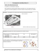 TD enseignement scientifique thème n°1