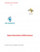 Rapport de stage GIRS assurance