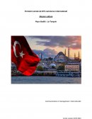Dossier culture Turquie