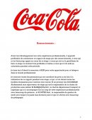 Rapport de stage coca