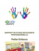 Rapport de stage en école maternelle