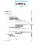 PÉTROLE ET GAZ NATURELS