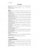 Fiche de lecture: Beck Ulrich , « La société du risque globalisé revue sous l'angle de la menace terroriste » , Cahiers internationaux de sociologie, 2003