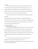 Rapport de stage ICAF