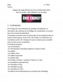 Rapport de stage à Eric Energy