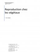 Reproduction chez les végétaux