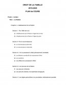 Droit de la famille plan