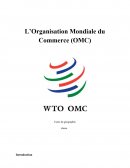 L’Organisation Mondiale de la Santé