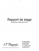 Rapport de Stage à S.T. Dupont