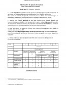 Elaboration du plan de formation