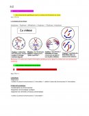 Resumé Cours SVT TS