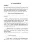 Cas Pratique Droit Civil Droit de la famille