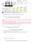 Le déroulement de la réaction immunitaire adaptative (RIA)