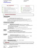 CV pratique