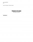 Rapport de stage : Cobane Avocats