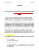 Les mutations des espaces productifs mondiaux