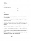 Asistante sociale