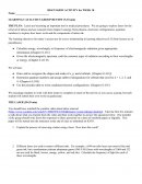 Discussion Activity