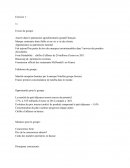 Etude de cas groupe banania