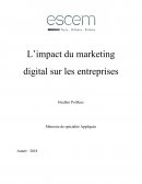 Mémoire sur le marketing digital