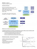 Révision : Projection et plan de ventes