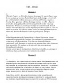 TD Droit Julie Faraut