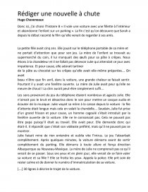 Nouvelle Litteraire Chute Exemple