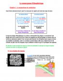 La convergence lithosphérique