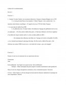 Culture de la communication