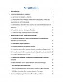 Rapport de gestion