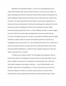 Introduction du commentaire organisé avec les questions sur le livre Thérèse Raquin