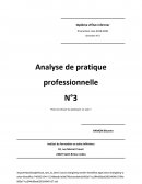 Analyse de pratique sur une fin de vie