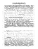 Synthèse de documents : A toute vitesse