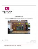 Rapport de stage en agence immobilière