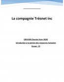 Étude de cas : La compagnie Trèsnet inc