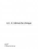 U.E. 3.1 démarche clinique