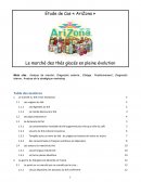 Etude de cas Arizona