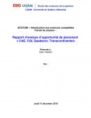 Rapport d’analyse d’opportunité de placement « CAE, CGI, Quebecor, Transcontinental»