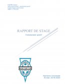 Rapport de stage : l'entraînement sportif