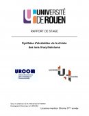 Rapport de stage - synthèse d'alcaloïdes via la chimie des ions N-acyliminiums