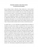 Dissertation explicative Moi, Tituba, Sorcière