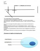 L'utilisation de la levure