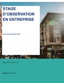 Rapport de stage d'observation en entreprise