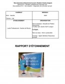 Rapport d'étonnement