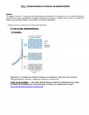 Sédimentation et milieux de sédimentation