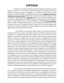 Synthèse su le travail