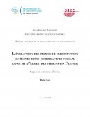 L'évolution des peines de substitution ou peines dites alternatives face au constat d'échec des prisons en France