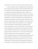 Comment le document " sacré croissance" illustre-t-il les limites de la croissance économique ?
