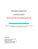 Les institutions internationales