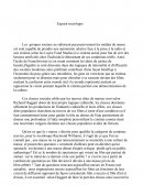 Sociologie du cinéma